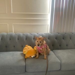 Meet your Posher, Lin